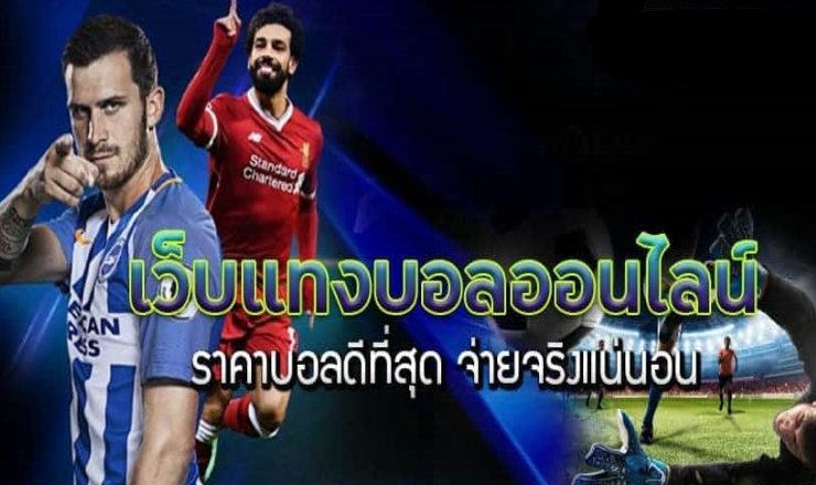 แทงบอล จ่ายจริง